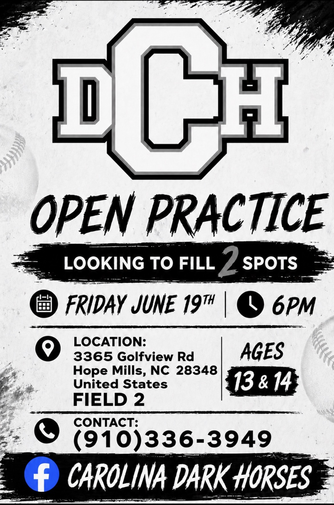 Carolina Dark Horses tryout poster